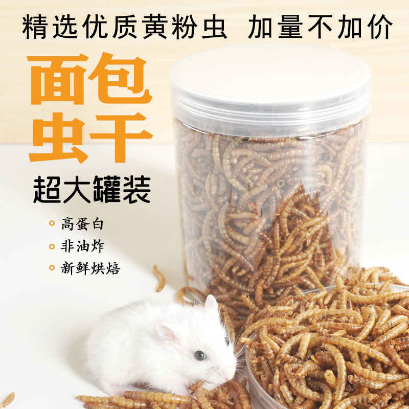 High-Protein Snacks Hamster Fo - Food Snacks With Protein recension och pris